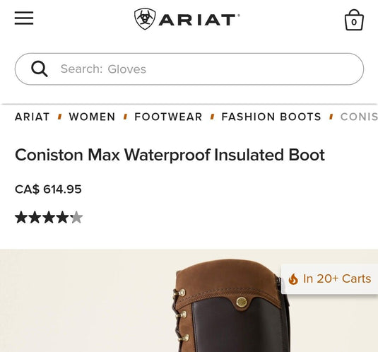 Ariat Coniston Max Waterproof Insulated Boot, 10