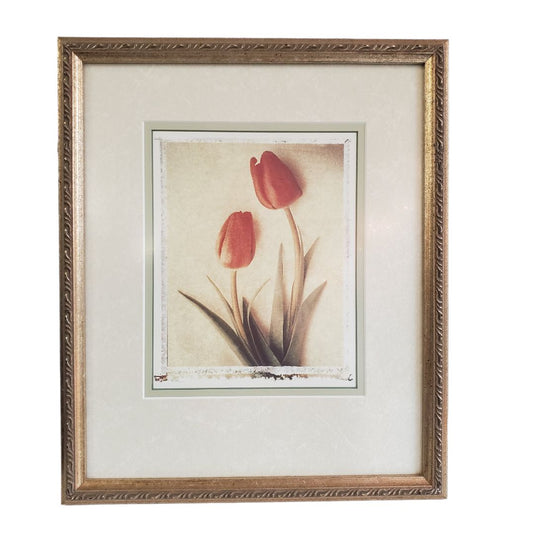 Pro Framed Tulip Print